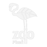 zoopal